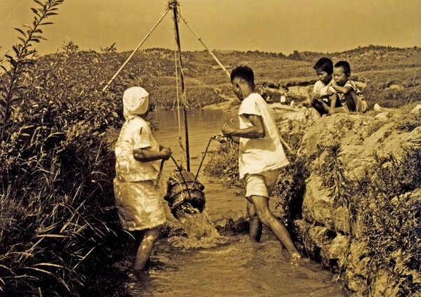 전오남씨가 응모한 ‘가뭄극복 두레질 한 장면’ 옛사진.
