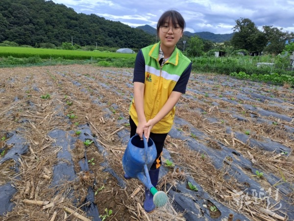 밭에 물을 주는 김시현 학생