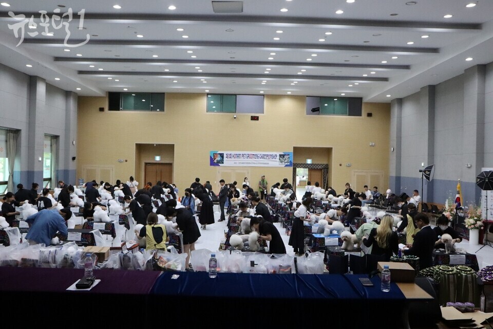 제 1회 호남반려견미용대회