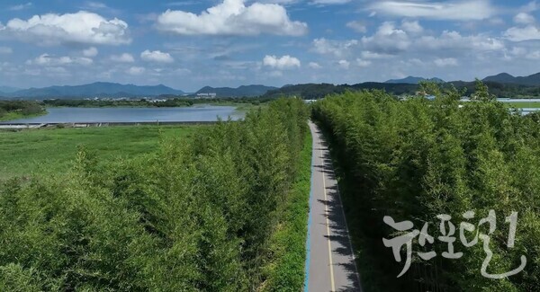 ���ý� ������- ��籺 �볪�� ���μ�