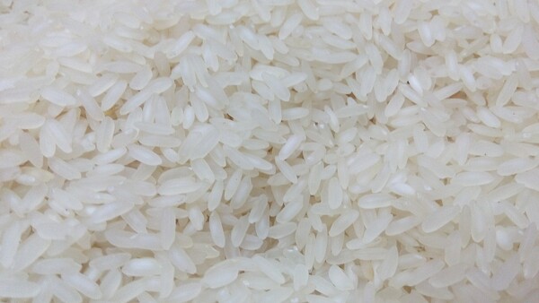    멥 쌀