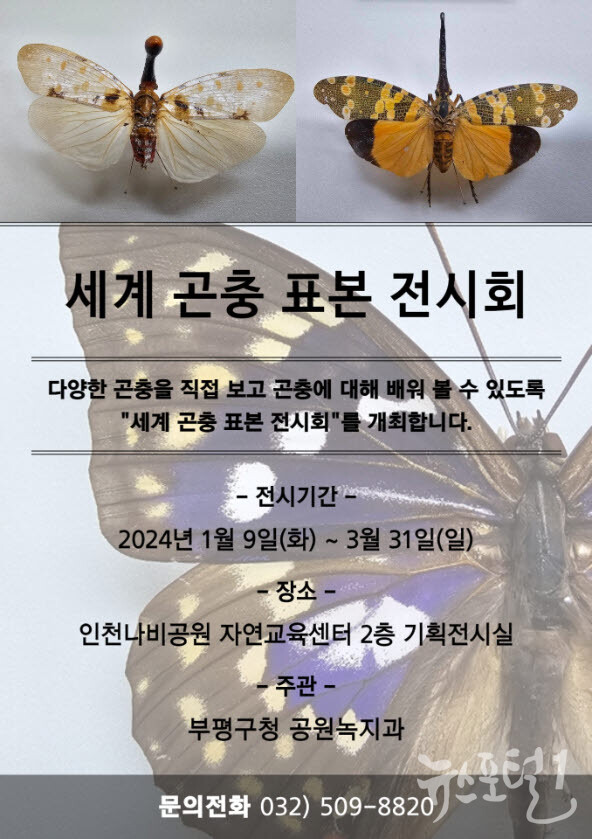 부평구, 인천나비공원서 ‘세계 곤충 표본 전시회’ 개최 1