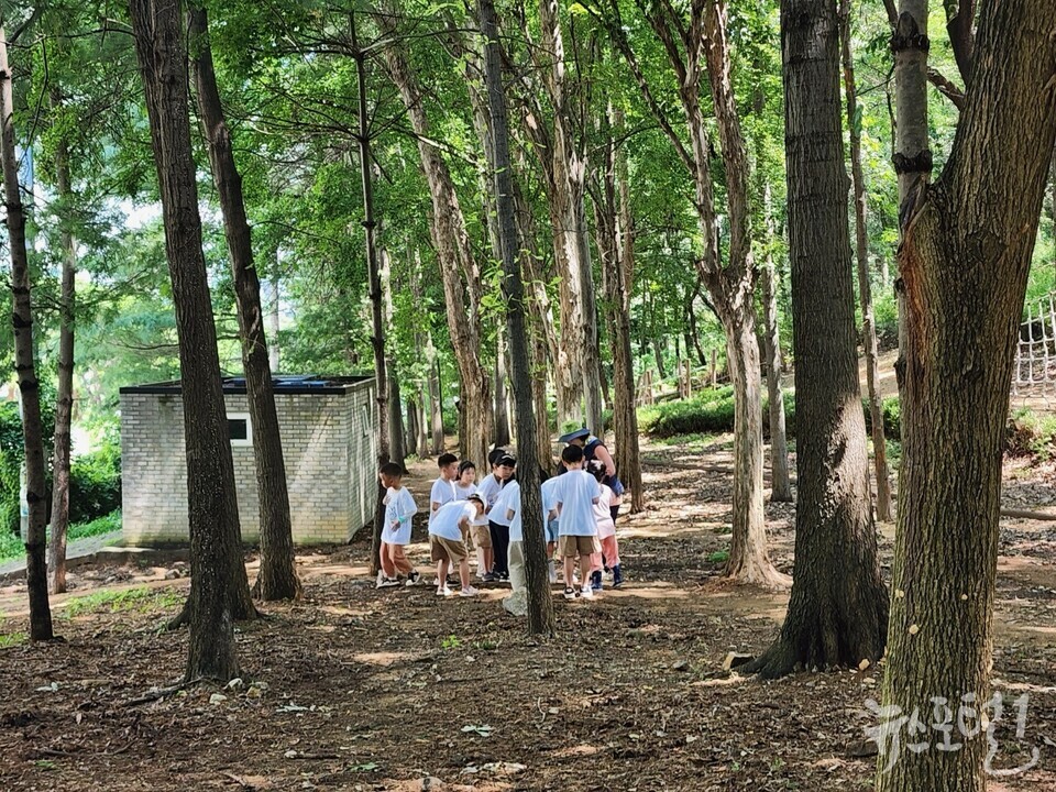 산림교육 운영 사진1
