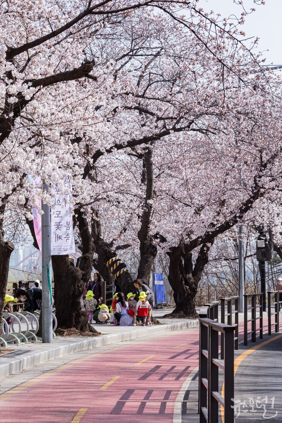 지난해 개최한 여의도 봄꽃축제 현장 모습