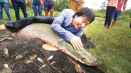 EBS세계테마기행 페루편의 구광렬 작가