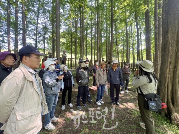 효령노인복지타운이 무등산생태탐방원 및 무등산국립공원 일대에서 선배 시민 자치동호회 회원들을 위한 '생태나누리' 캠프를 진행했다. (사진 제공 : 효령노인복지타운)