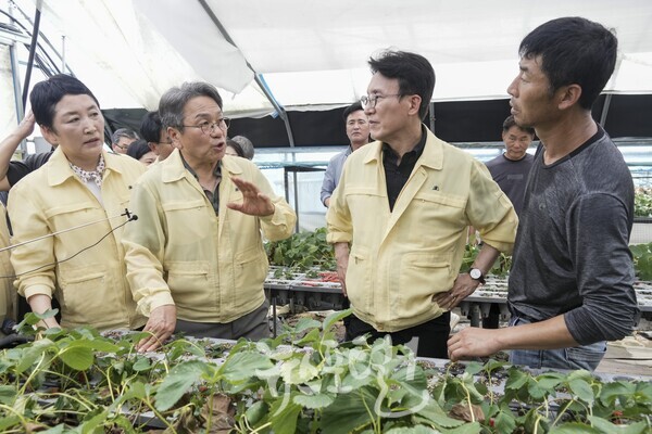 강기정 광주광역시장이 20일 오전 김민석 국무총리와 폭우 침수 피해 지역인 북구 용강동 하신마을 딸기재배 시설하우스를 살펴보고 있다. 왼쪽은 전진숙 국회의원. (사진 제공 : 광주광역시)