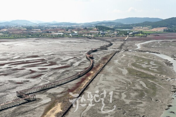 무안 갯벌 탐방 다리. (사진 제공 : 무안군)