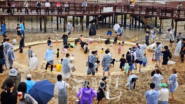 2024년 제10회 무안 황토갯벌축제 장어 잡기 모습. (사진 제공 : 무안군)