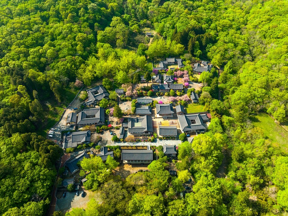 ‘2025 세계유산축전 선암사, 순천갯벌’ 개막식 개최