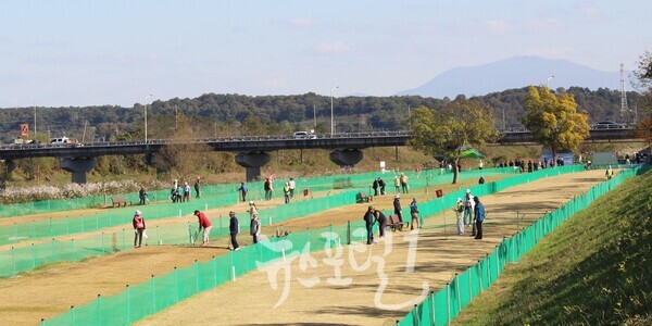 황룡강 상류 쪽에서 본 「제1회 임곡 No.1 파크골프대회」 전경. 뒤에 보이는 다리가 용진교이다.