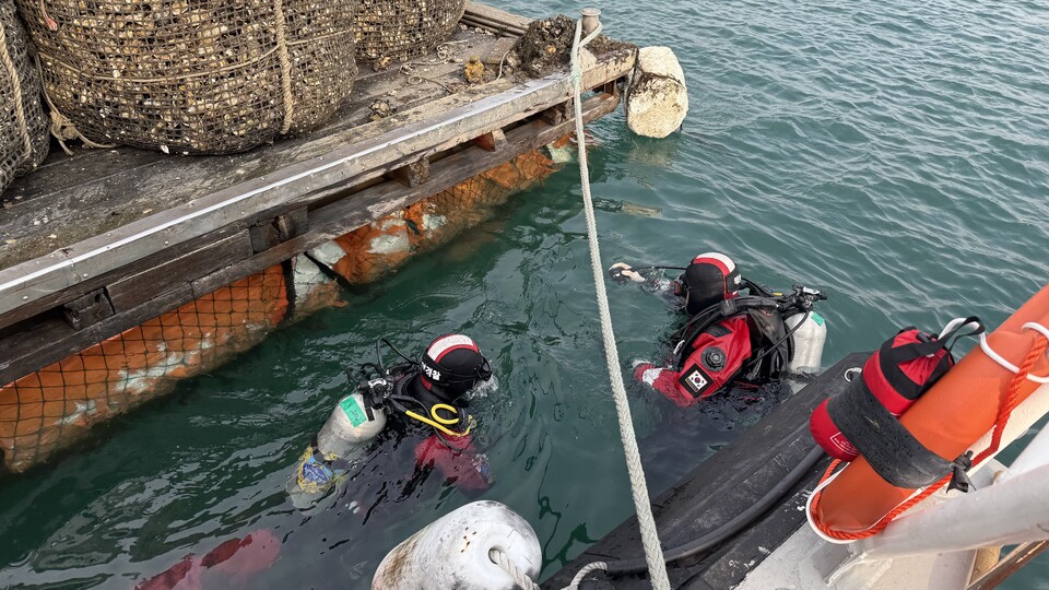 통영해경/뉴스포털1